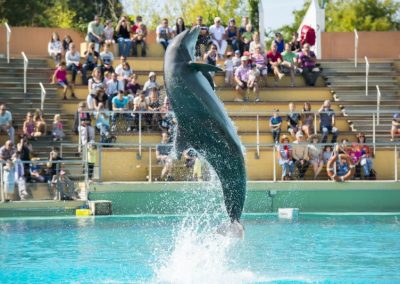 Parcs d&rsquo;attraction